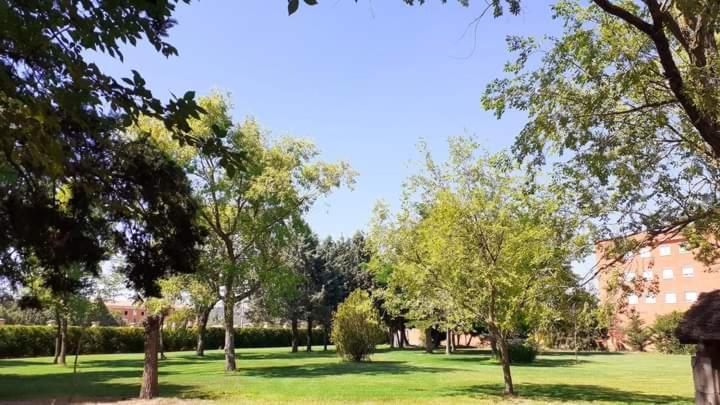 Residencia Diego Martinez Palencia Eksteriør billede